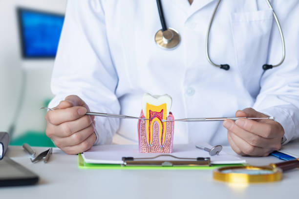 Best Emergency Treatment for Toothache in Princevle, IL